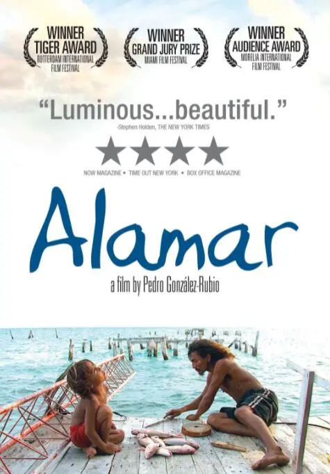 《拥抱大海》：一场治愈心灵的蓝色之旅，探索生命的真谛与救赎