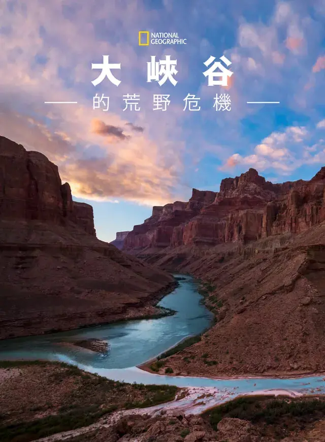 《大峡谷的荒野危机》：绝境求生！人与自然的终极较量，能否逃出生天？